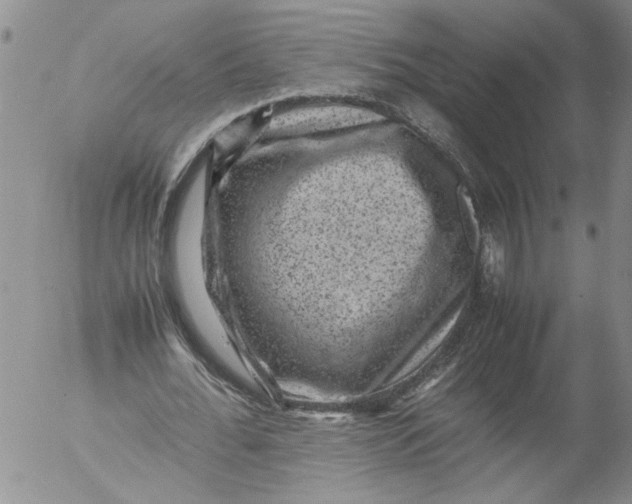 X0000053050676200508011848