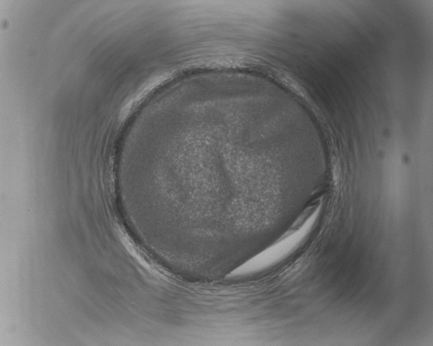 X0000053050677200508011848