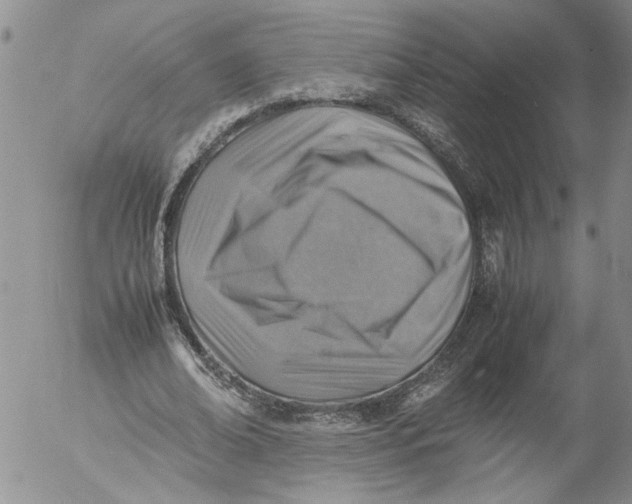 X0000053050678200508011848