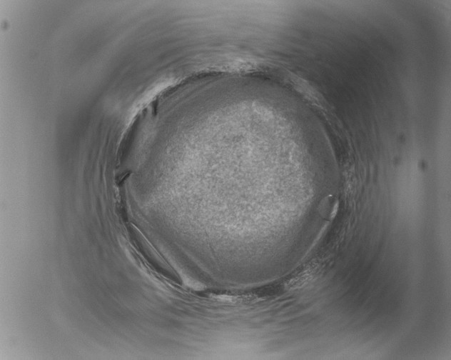 X0000053050679200508011848