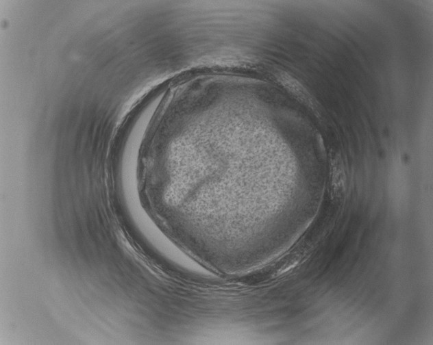 X0000053050680200508011848