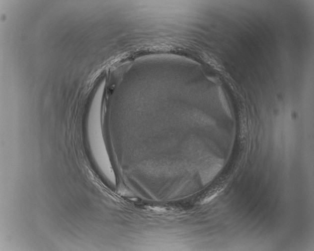 X0000053050681200508011848