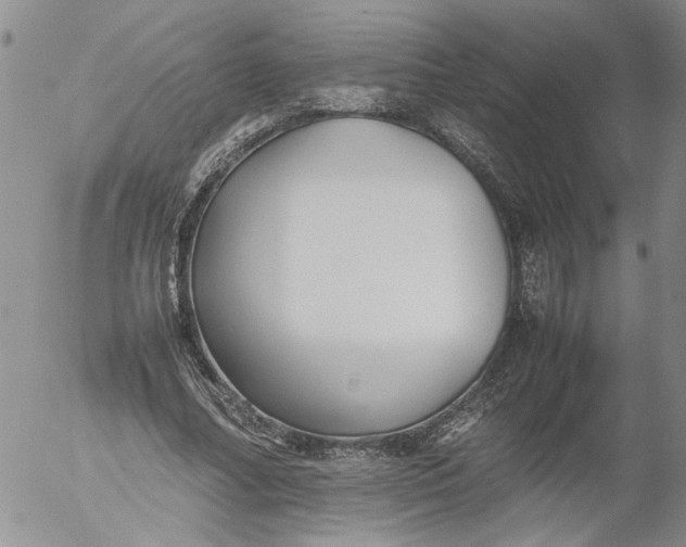 X0000053050682200508011848