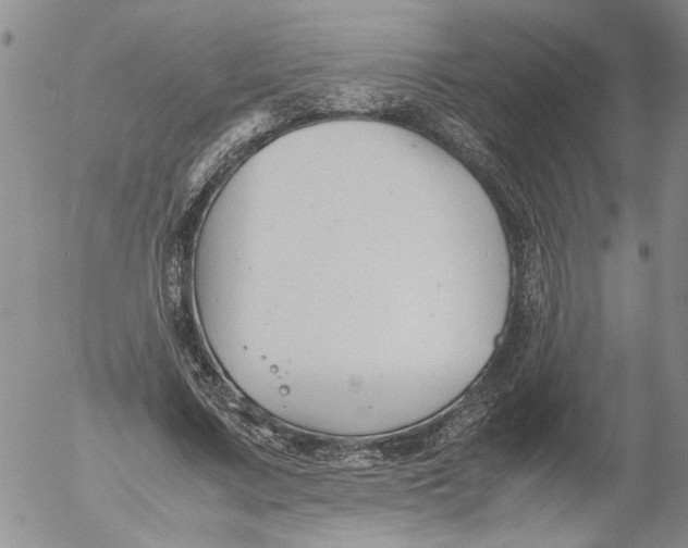 X0000053050683200508011848