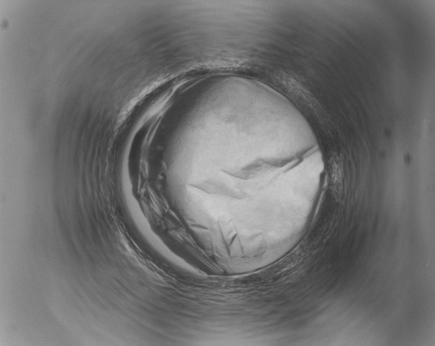 X0000053050684200508011848