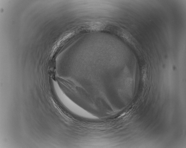 X0000053050685200508011848