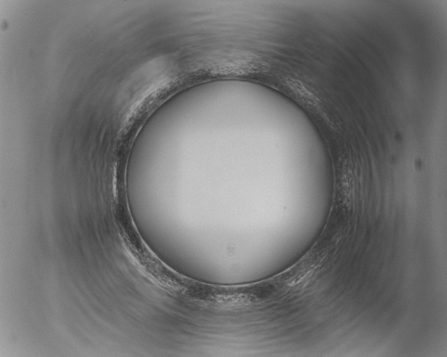 X0000053050686200508011848