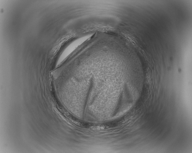 X0000053050687200508011848