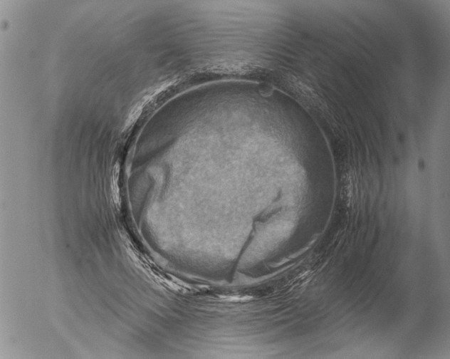 X0000053050688200508011848