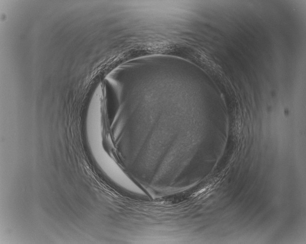 X0000053050689200508011848