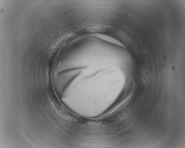 X0000053050690200508011848