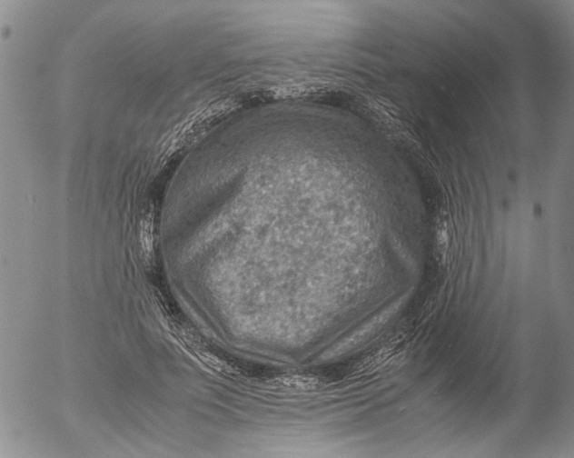 X0000053050691200508011848