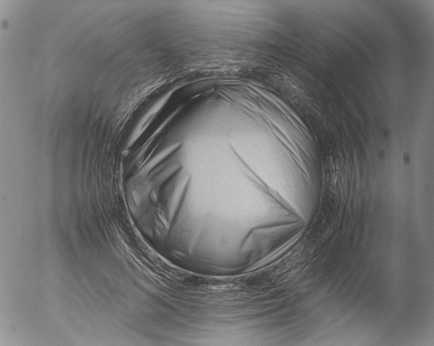 X0000053050692200508011848