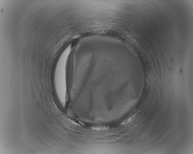 X0000053050693200508011848