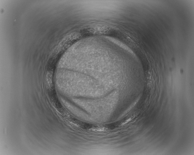 X0000053050695200508011848