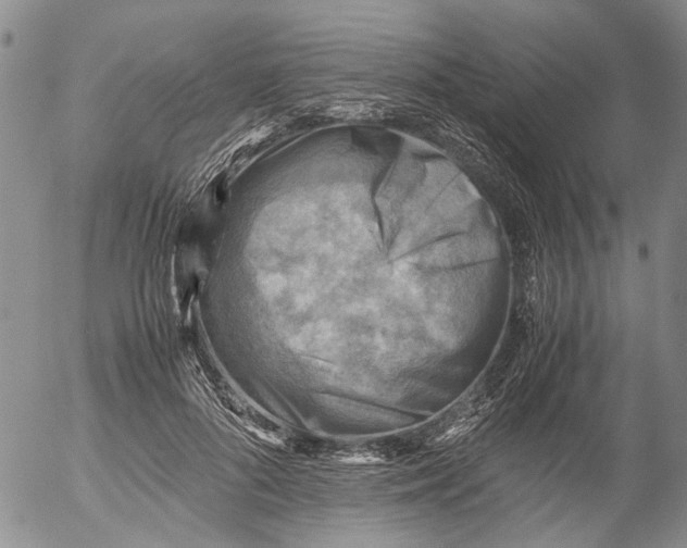 X0000053050696200508011848