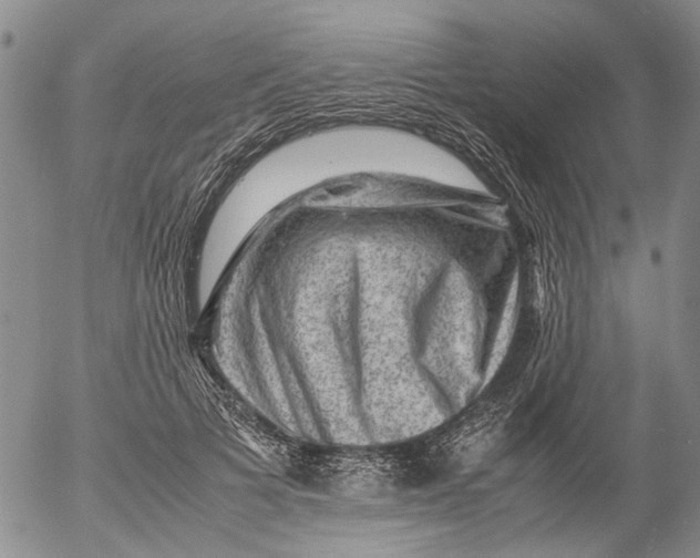 X0000053050697200508011848