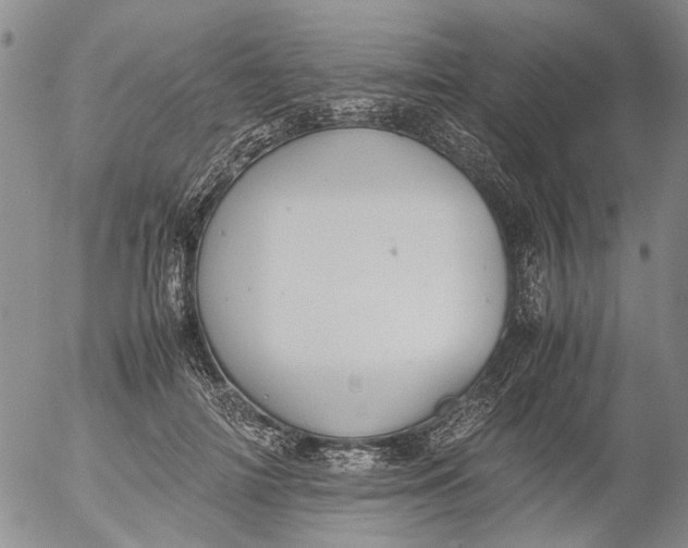 X0000053050698200508011848