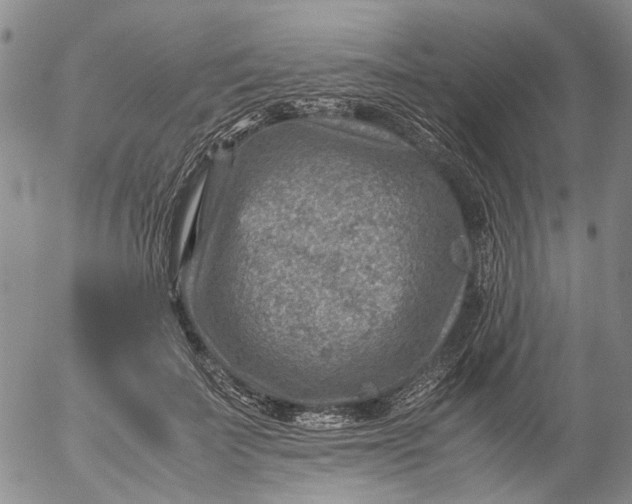 X0000053050699200508011848