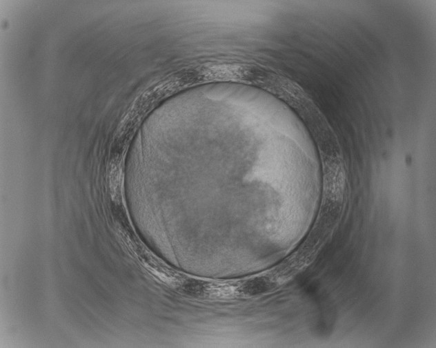 X0000053050701200508011848