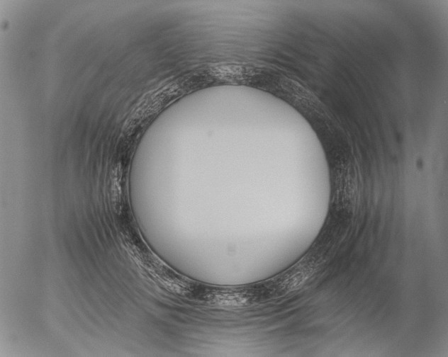 X0000053050702200508011848