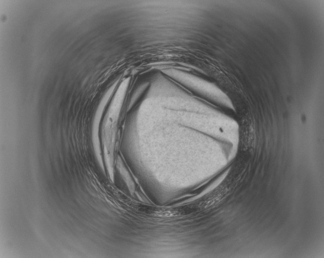 X0000053050704200508011848