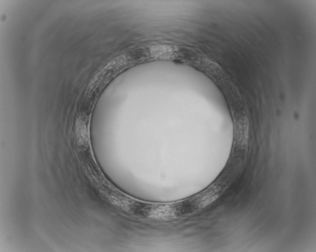 X0000053050705200508011848