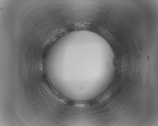 X0000053050706200508011848