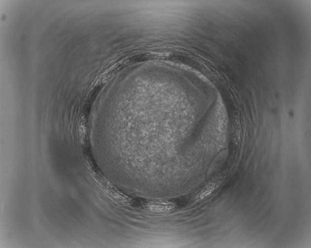 X0000053050707200508011848