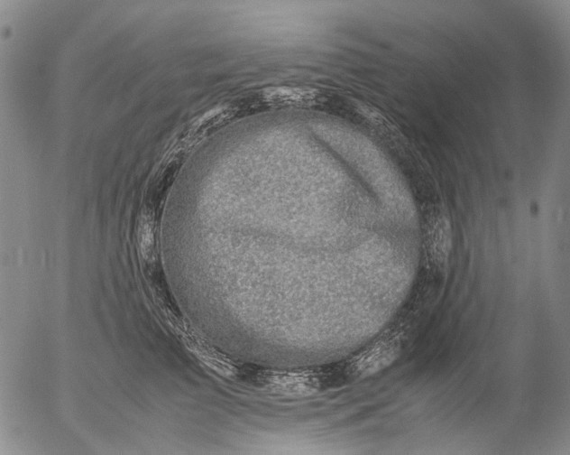 X0000053050709200508011848