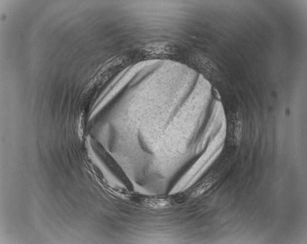 X0000053050710200508011848