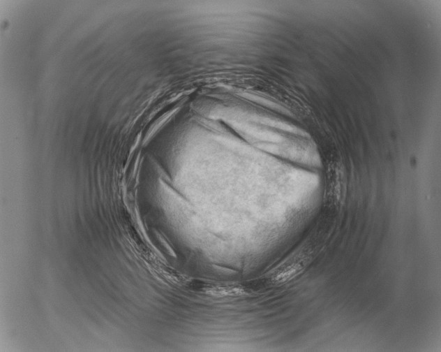 X0000053050712200508011848