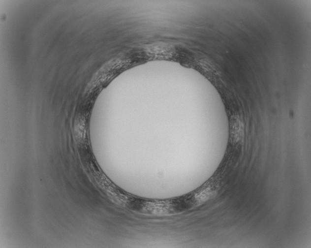 X0000053050713200508011848