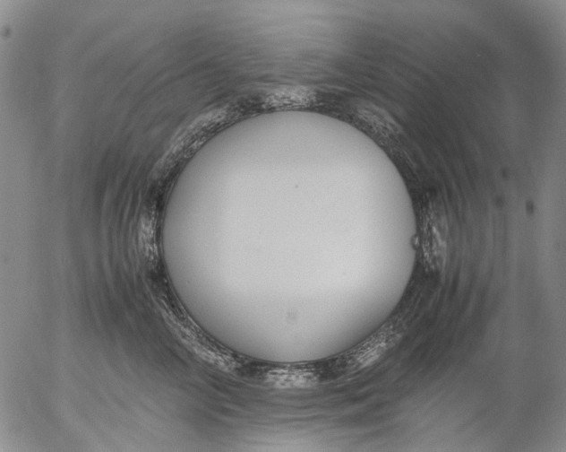 X0000053050714200508011848