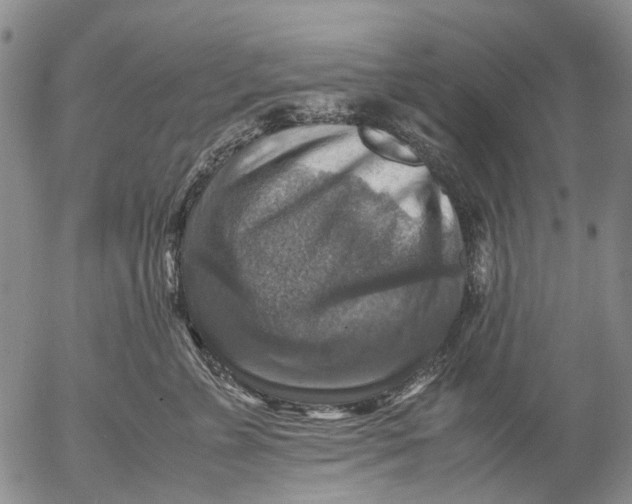 X0000053050715200508011848