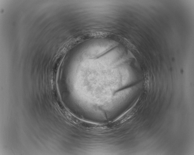 X0000053050716200508011848