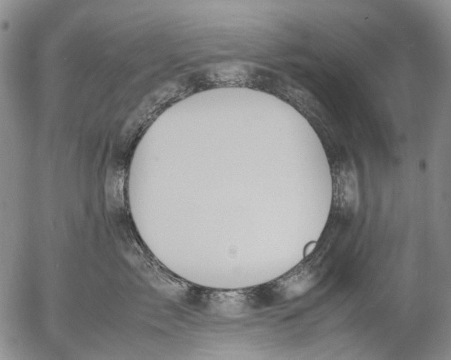 X0000053050717200508011848