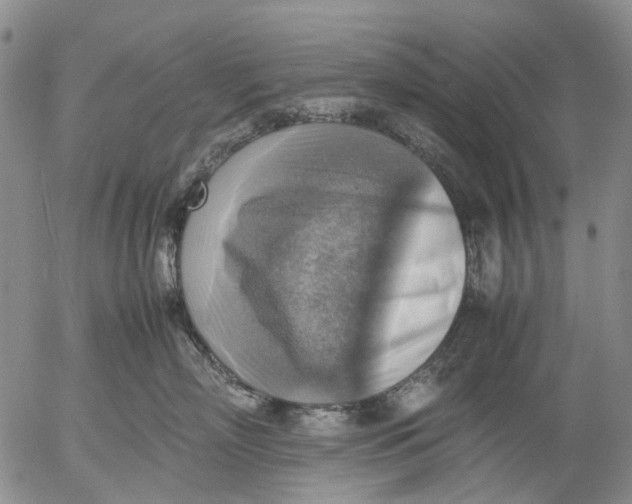 X0000053050718200508011848