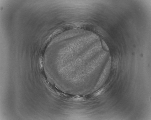 X0000053050719200508011848