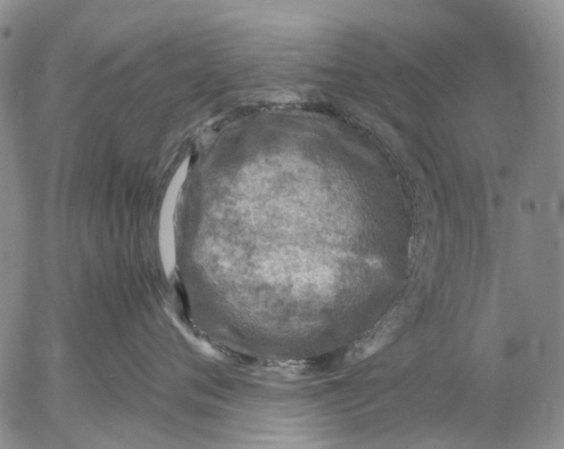 X0000053050720200508011848