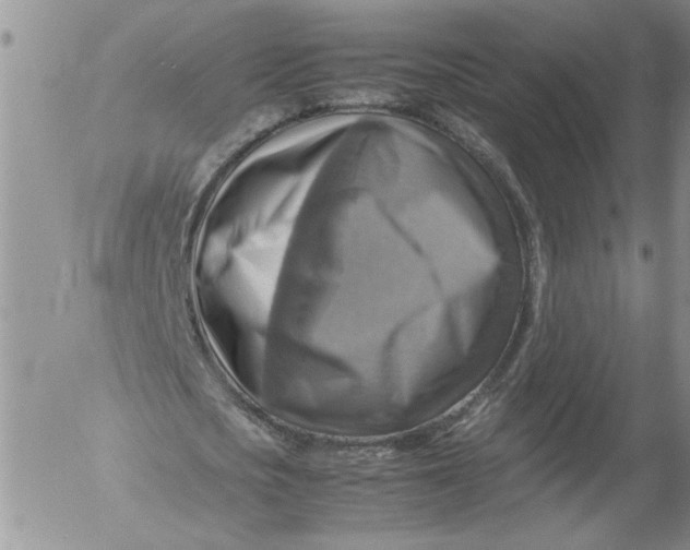 X0000053050721200508011847