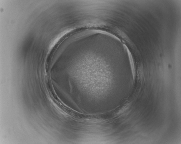 X0000053050722200508011847