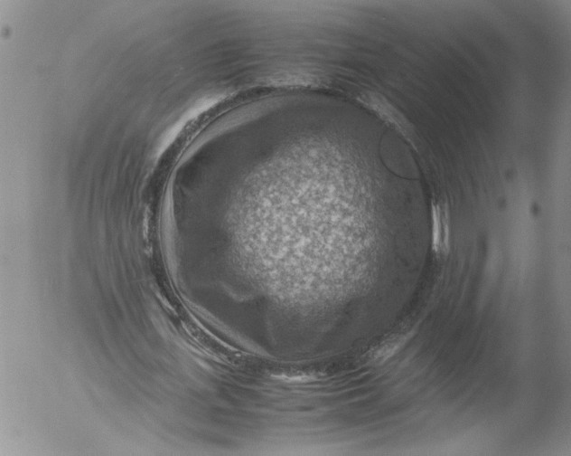 X0000053050723200508011847