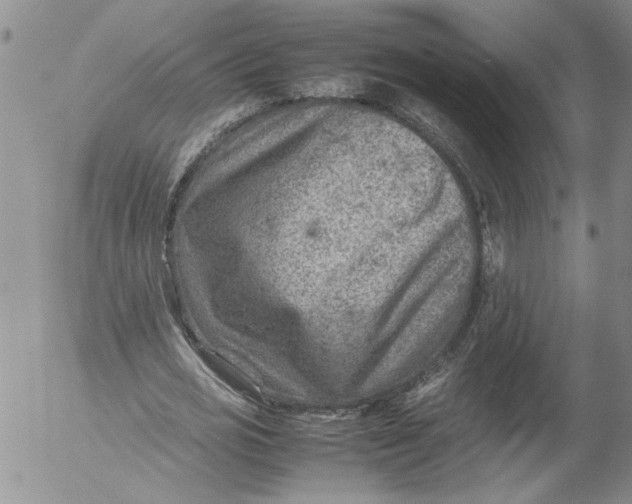 X0000053050725200508011847