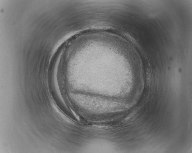 X0000053050726200508011847