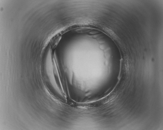 X0000053050728200508011847