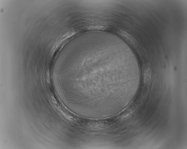 X0000053050729200508011847