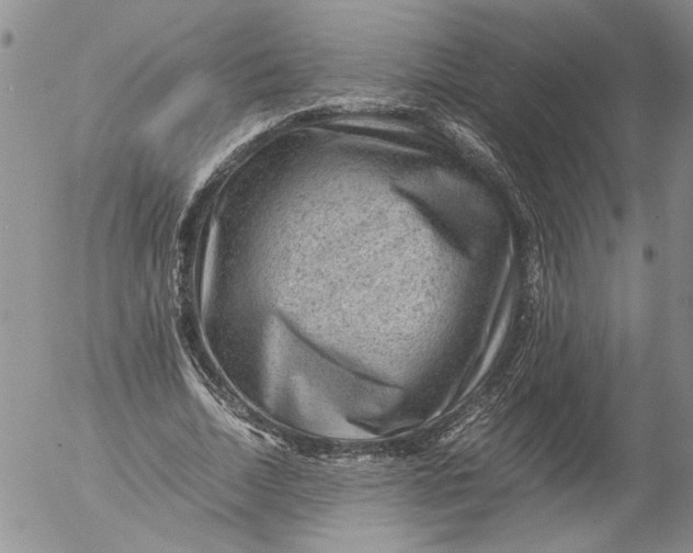 X0000053050730200508011847