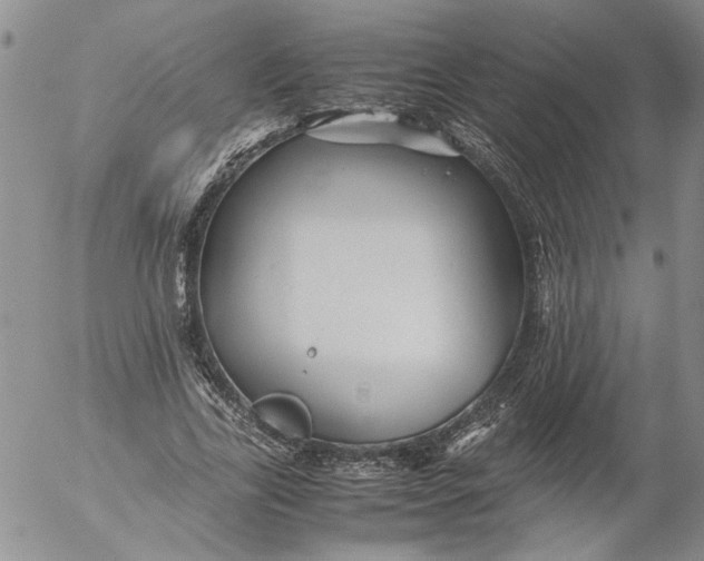 X0000053050731200508011847