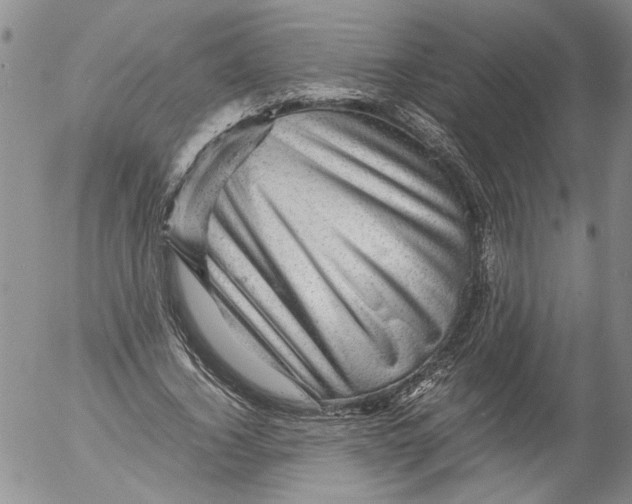 X0000053050732200508011847